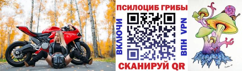 цена наркотик  Владивосток  Псилоцибиновые грибы прущие грибы 