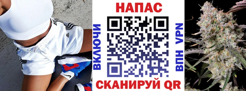 Каннабис сатива  маркетплейс телеграм  Владивосток 